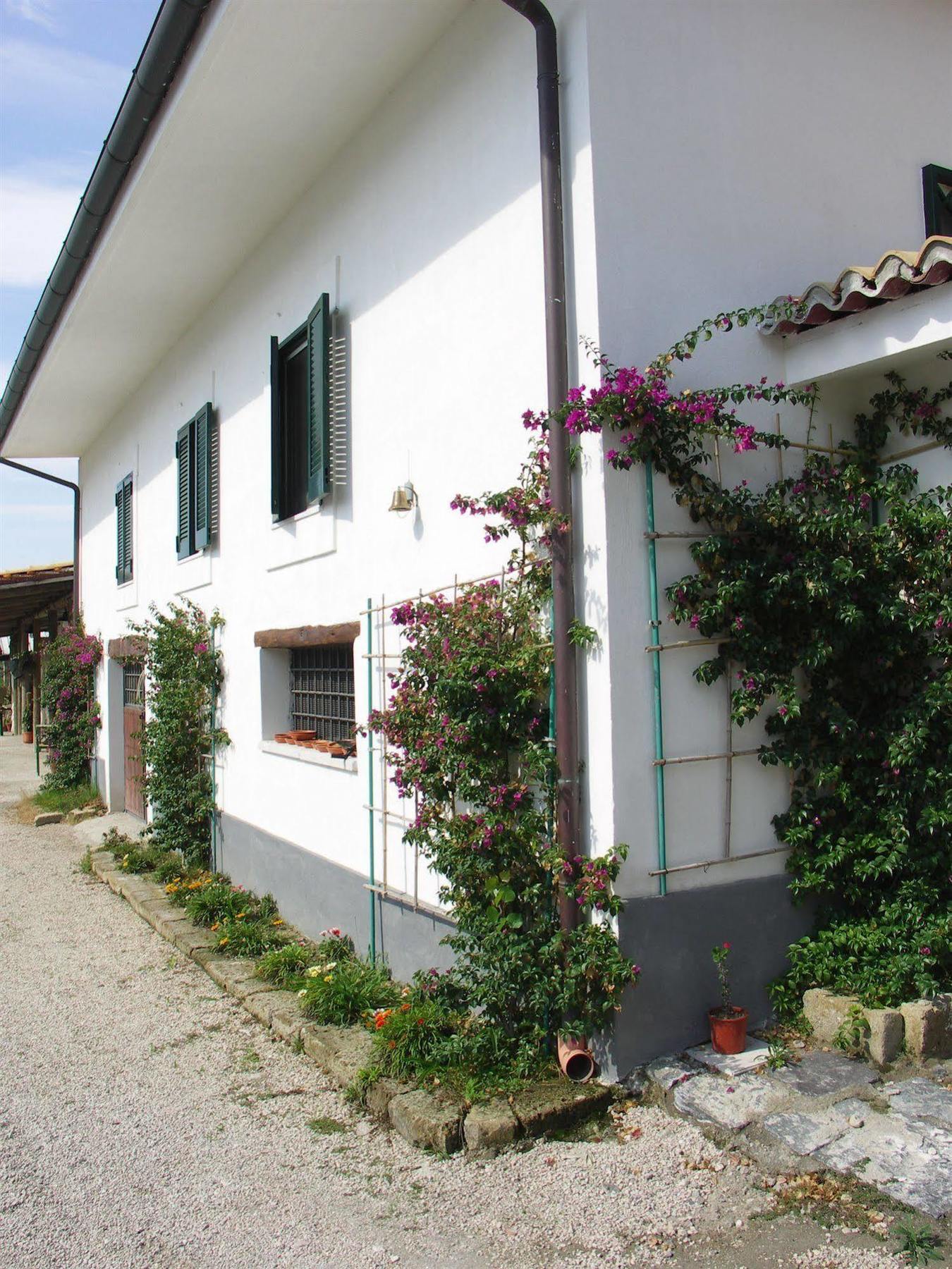 Tenuta Monte Sant'angelo Hotel Naples
